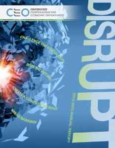 Ceo Annual Report Cover