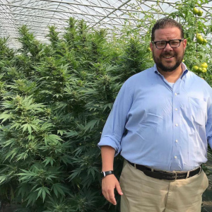 Park Strategies Managing Director Featured in syracuse.com Article on New York's Cannabis Industry Rollout