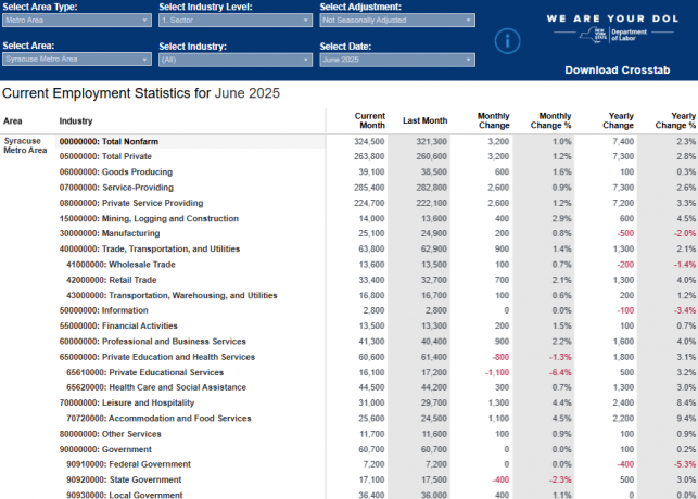 Labor Data June 2025