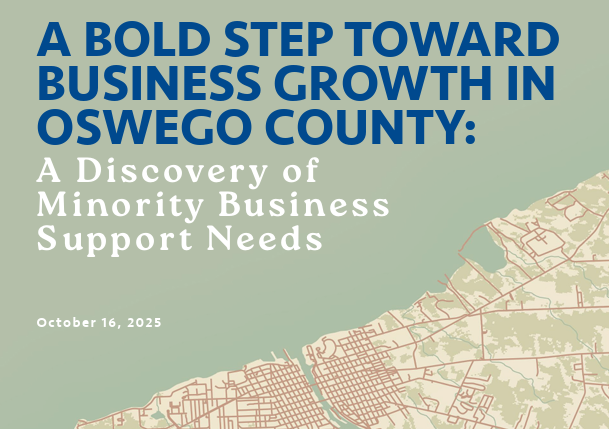 Minority Business Study Graphic